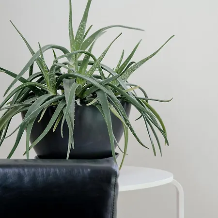 In Lina - Solutions Apartment Brunate
